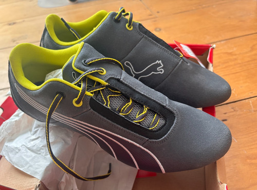Puma future cat - future,